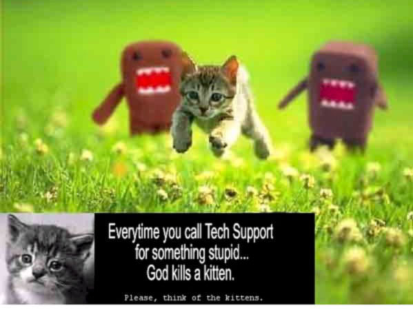 kittens-technology