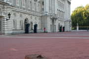 buckingham-palace-guards