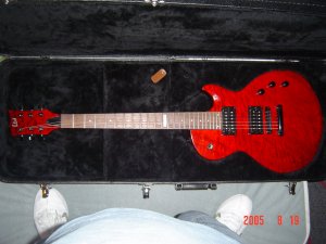 Click for larger
image Guitar In Case