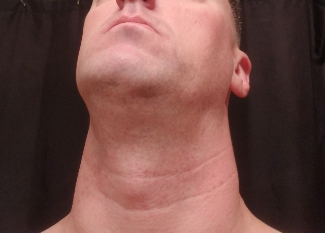 Click for larger image Shave 3