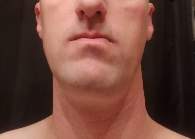 Click for larger image Shave 4