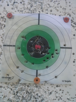 First target,
          after all four .45 ACP guns